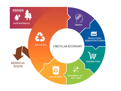 The Importance of Circular Economy